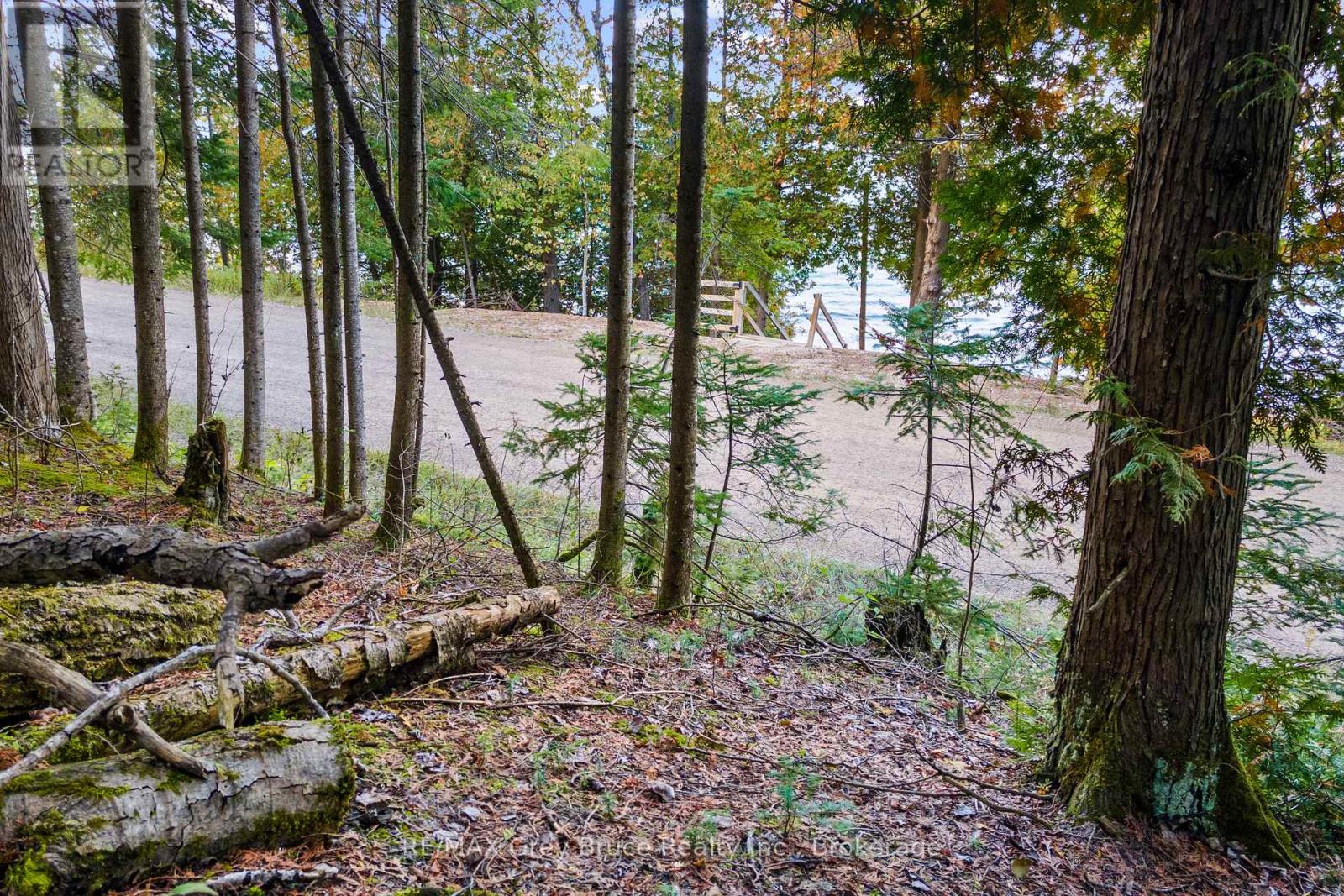 Part Lot 21 Cape Chin North Shore Road, Northern Bruce Peninsula, Ontario N0H 1W0 - Photo 15 - X13879494