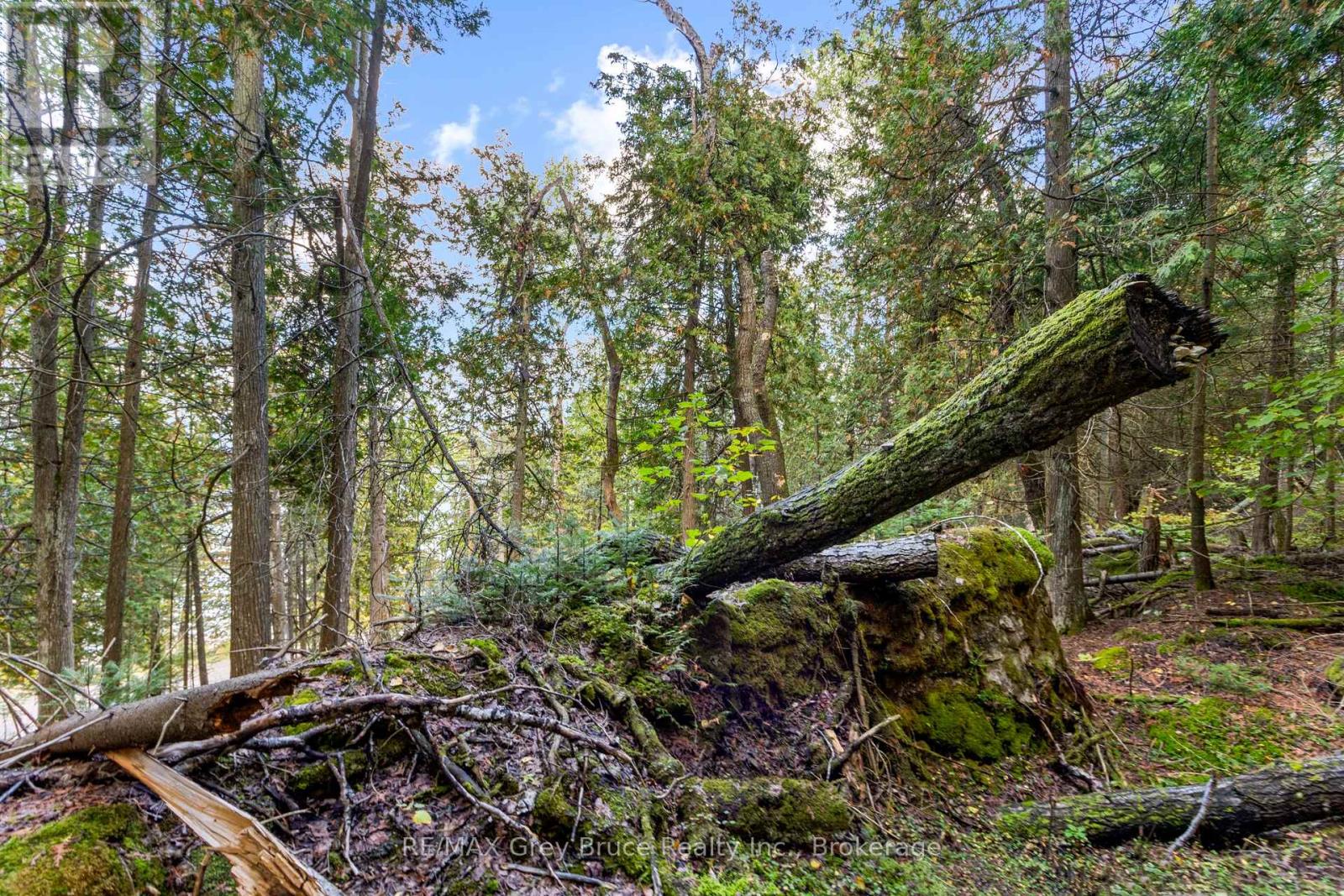 Part Lot 21 Cape Chin North Shore Road, Northern Bruce Peninsula, Ontario N0H 1W0 - Photo 16 - X13879494