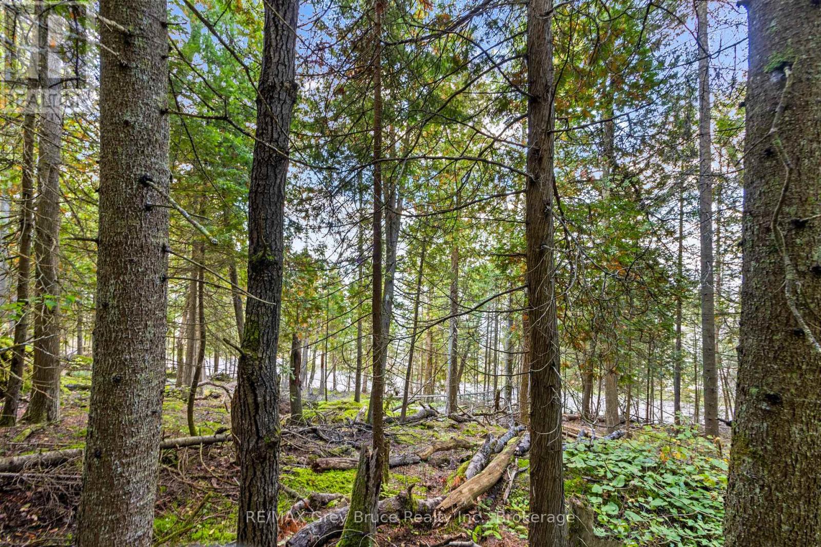 Part Lot 21 Cape Chin North Shore Road, Northern Bruce Peninsula, Ontario N0H 1W0 - Photo 17 - X13879494