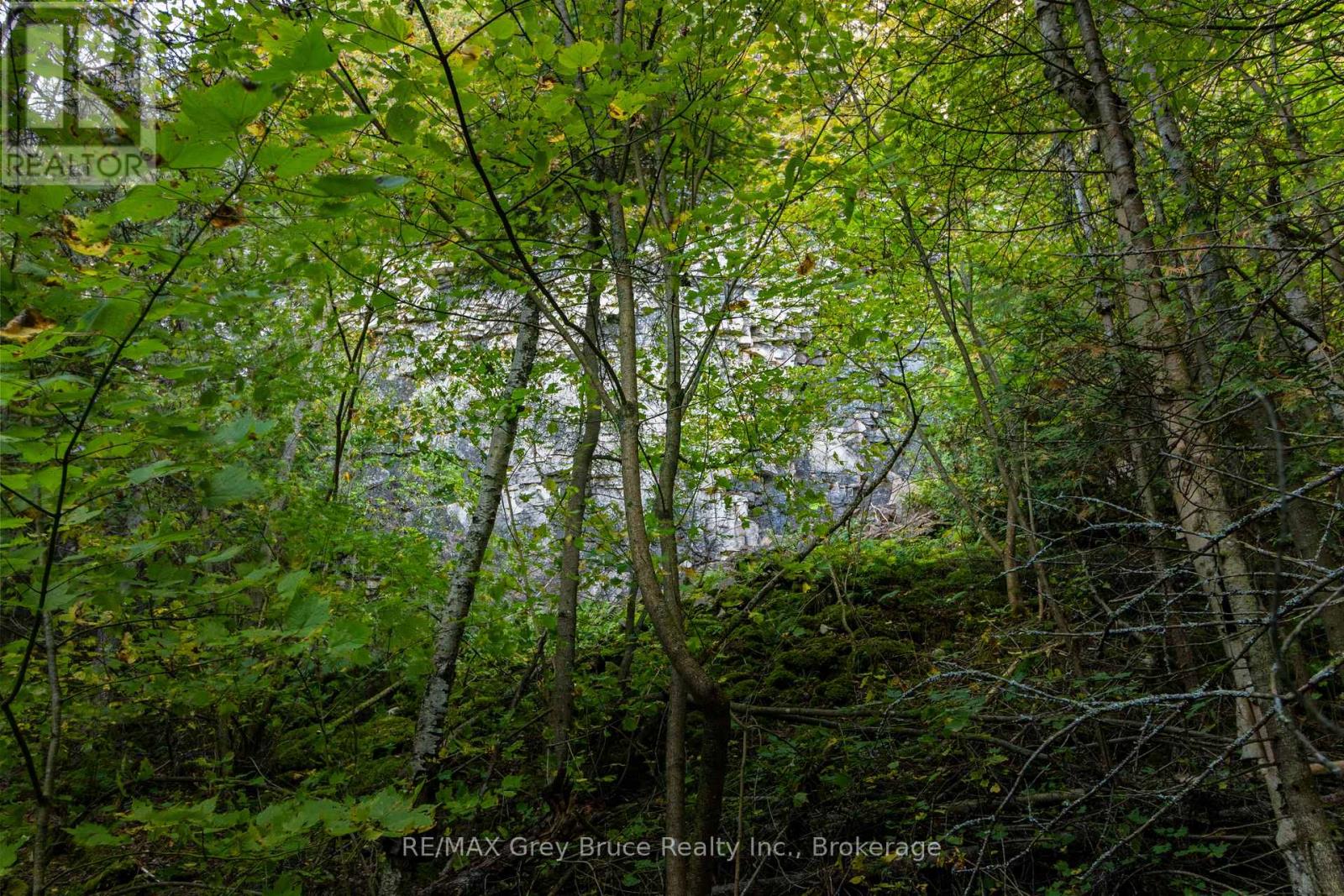 Part Lot 21 Cape Chin North Shore Road, Northern Bruce Peninsula, Ontario N0H 1W0 - Photo 18 - X13879494