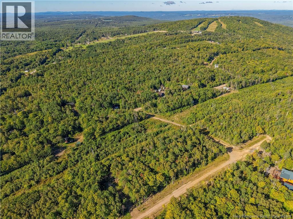 Lot Raven Ridge Road, Central Hainesville, New Brunswick  E6E 1E3 - Photo 8 - NB149419