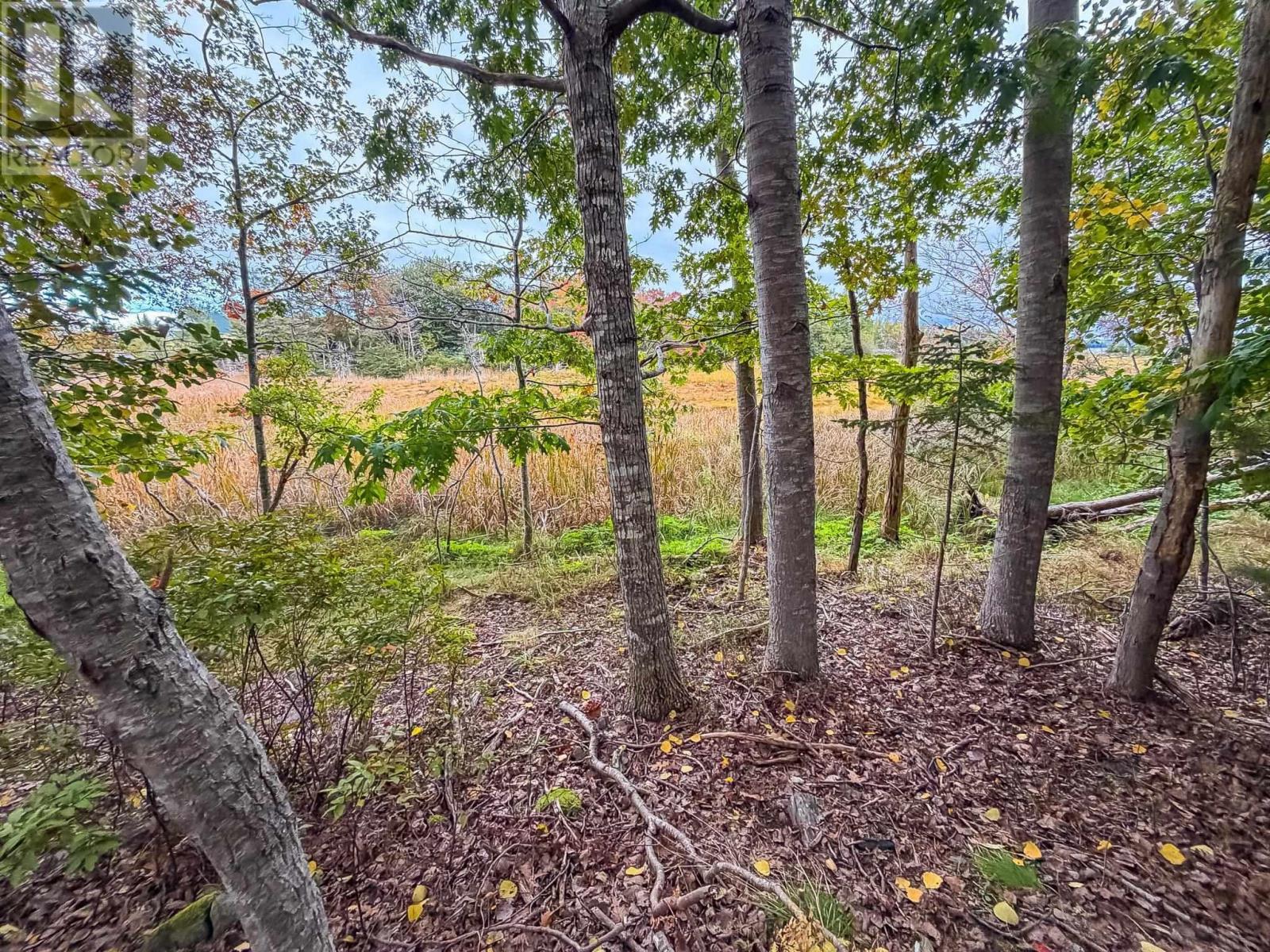 Lot 2 Martins Point Road, Martins Point, Nova Scotia  B0J 1T0 - Photo 12 - 202625520