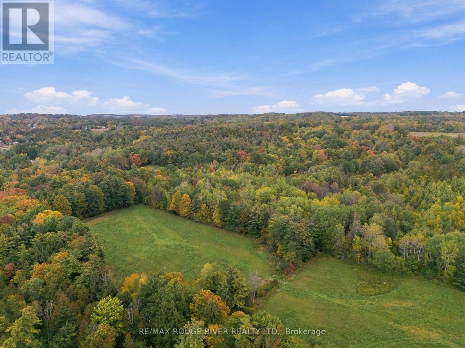 13643 Little Lake Road, Cramahe, Ontario  K0K 1S0 - Photo 47 - X13879798