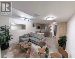 LOWER - 173 BEATRICE STREET, Toronto, Ontario