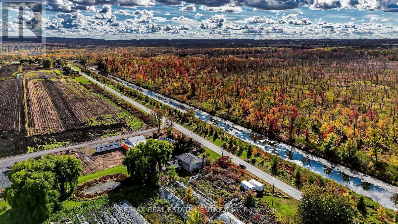 393 Canal Road W, Bradford West Gwillimbury, Ontario  L3Z 4C4 - Photo 42 - N13852908