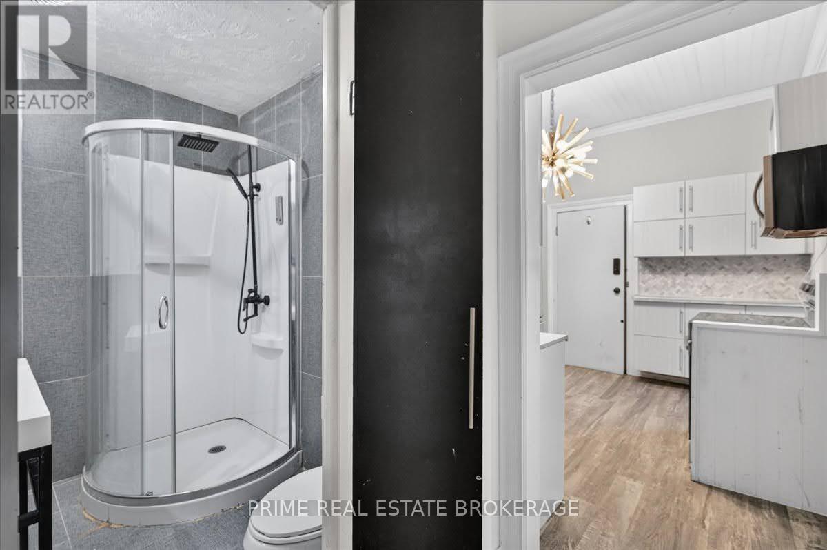 42 Bruce Street, London South, Ontario  N6C 1G6 - Photo 13 - X13880364
