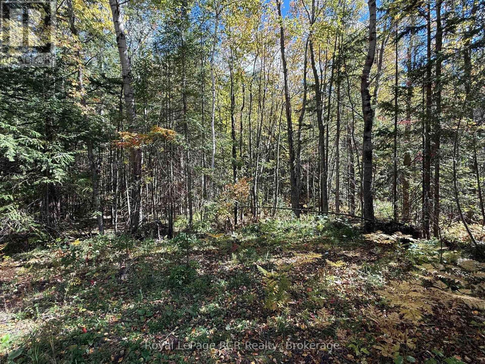 Third picture of PT LT 1-2 CONCESSION 3