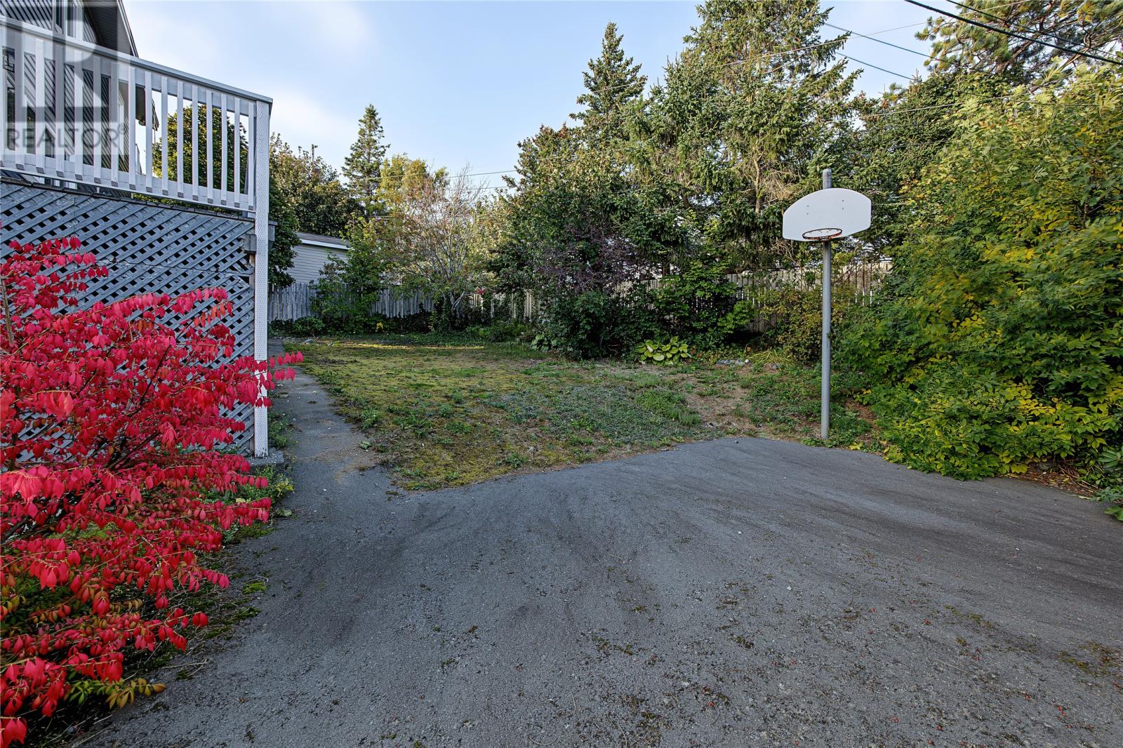 10 Sackville Street, St. Johns, Newfoundland & Labrador  A1A 4R3 - Photo 49 - 1304180