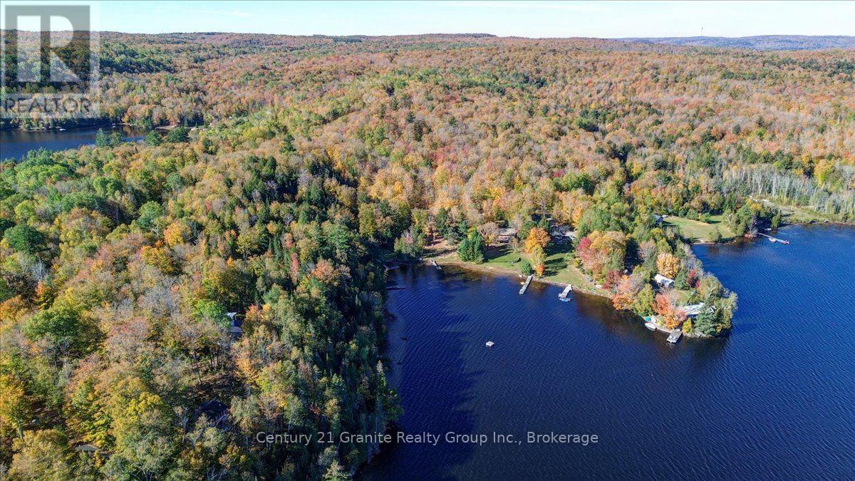 354 Forestview Road N, Hastings Highlands, Ontario  K0L 1C0 - Photo 36 - X13880418