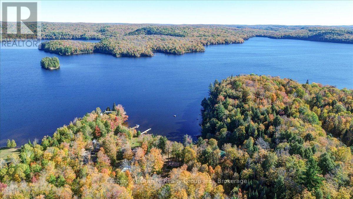 354 Forestview Road N, Hastings Highlands, Ontario  K0L 1C0 - Photo 38 - X13880418