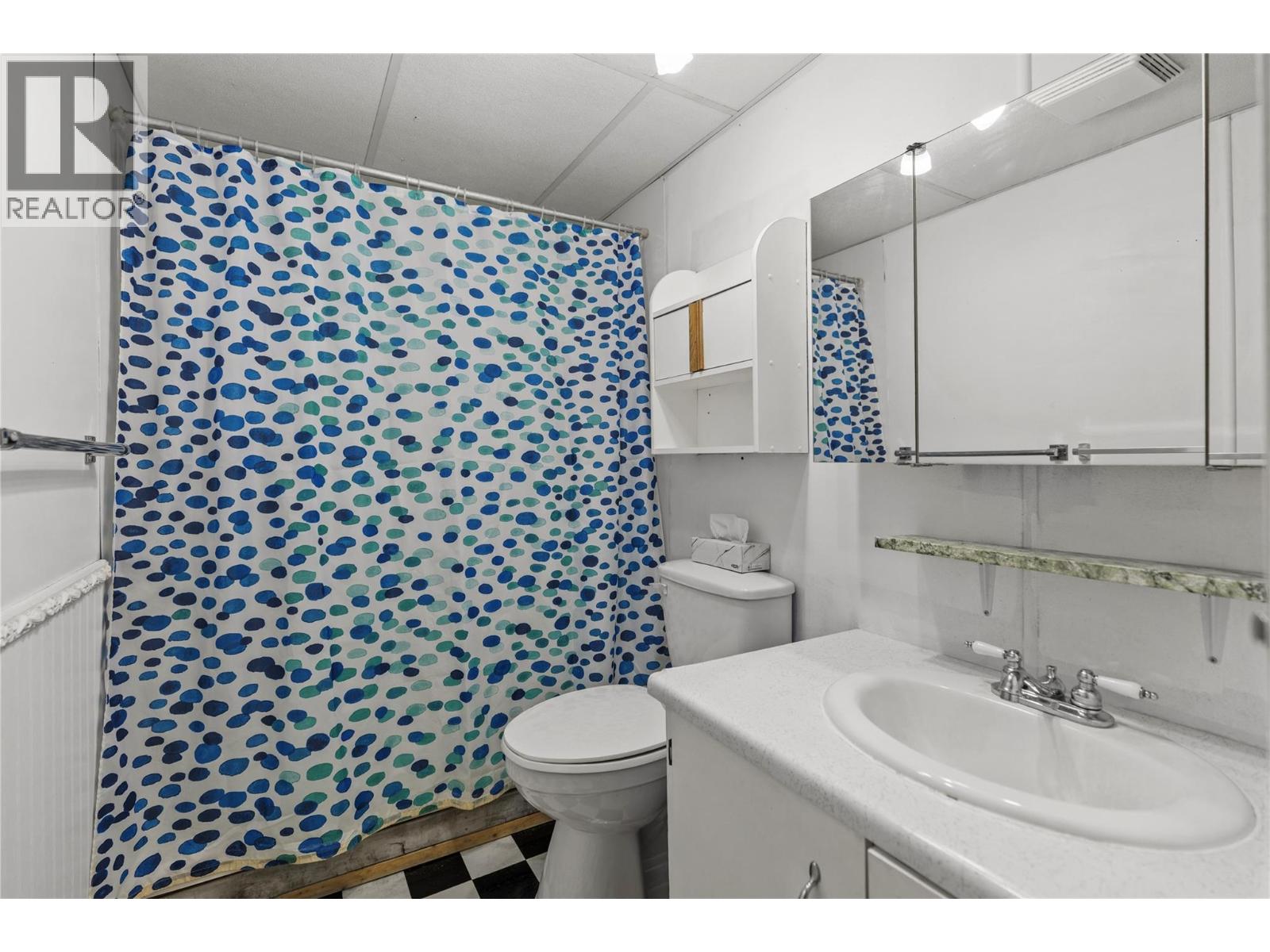 4101 Dixon Creek Road, Barriere, British Columbia  V0E 1E1 - Photo 19 - 10403124