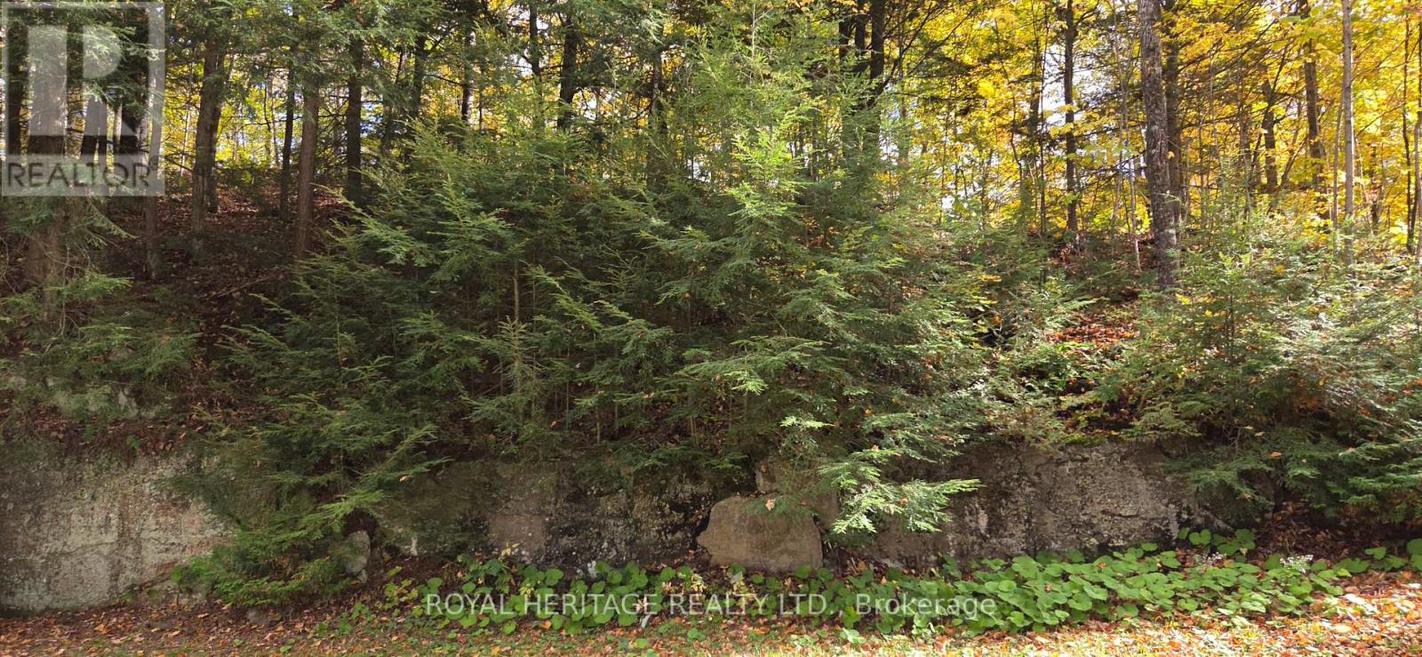 1280b Austris Road, Frontenac, Ontario  K0H 1C0 - Photo 30 - X13875194