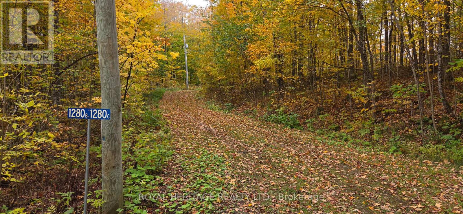 1280b Austris Road, Frontenac, Ontario  K0H 1C0 - Photo 50 - X13875194