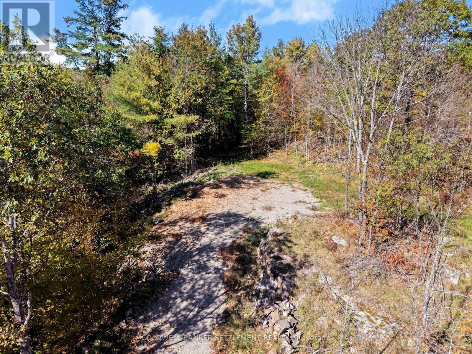 21618 Highway 7 Highway, Tay Valley, Ontario K0H 2B0 - Photo 3 - X13881236