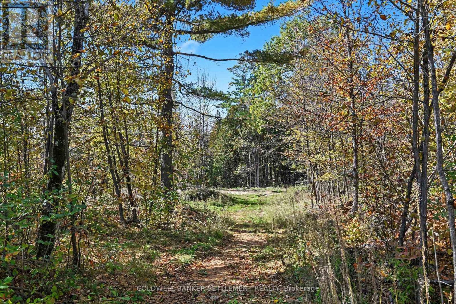 21618 Highway 7 Highway, Tay Valley, Ontario K0H 2B0 - Photo 6 - X13881236