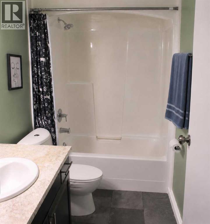 505 4th Street Ne, Manning, Alberta  T0H 2M0 - Photo 13 - A2299770