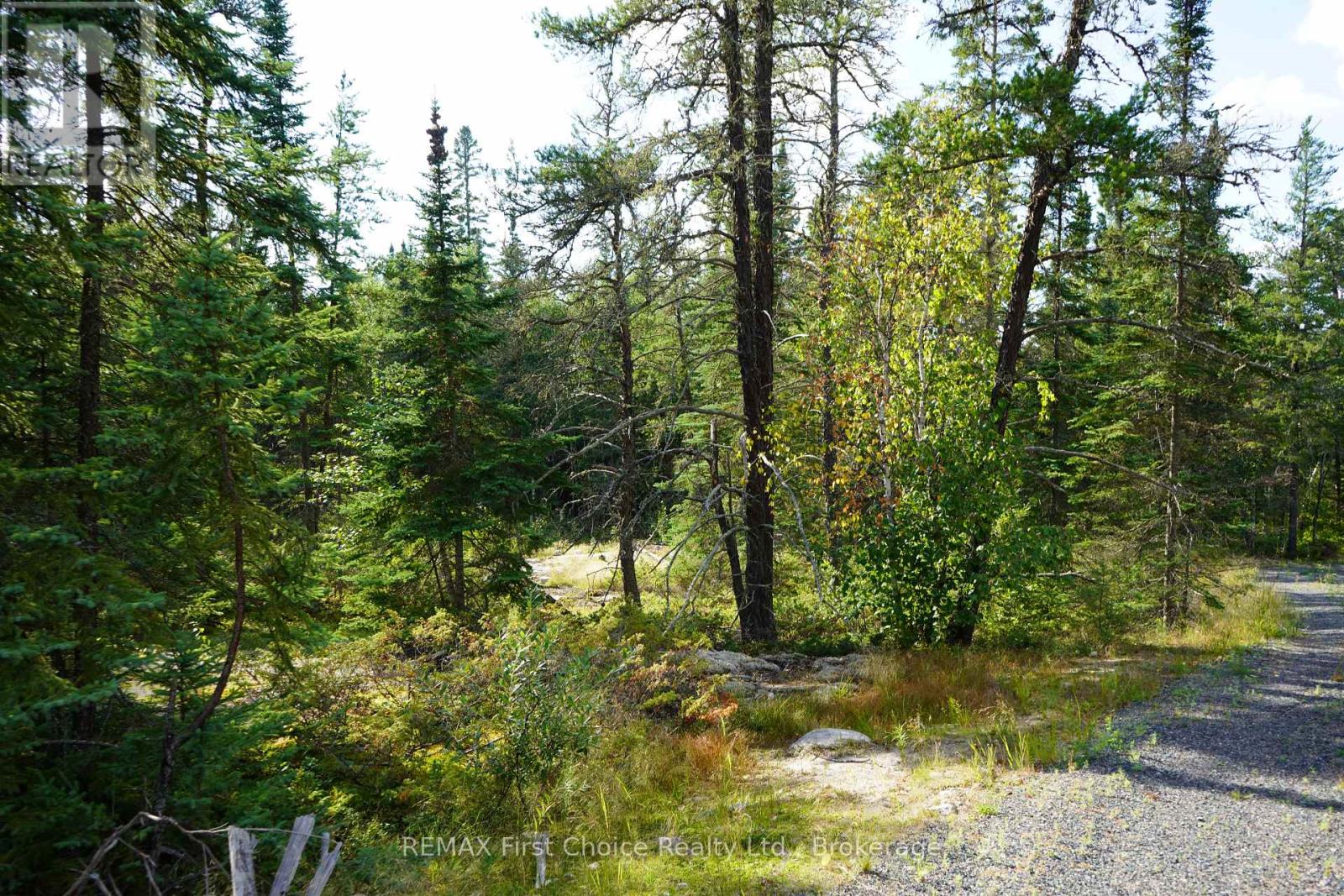 Lot 5 Gunn Lake Road, Kenora Remote Area, Ontario  P0X 1J0 - Photo 22 - X13880996