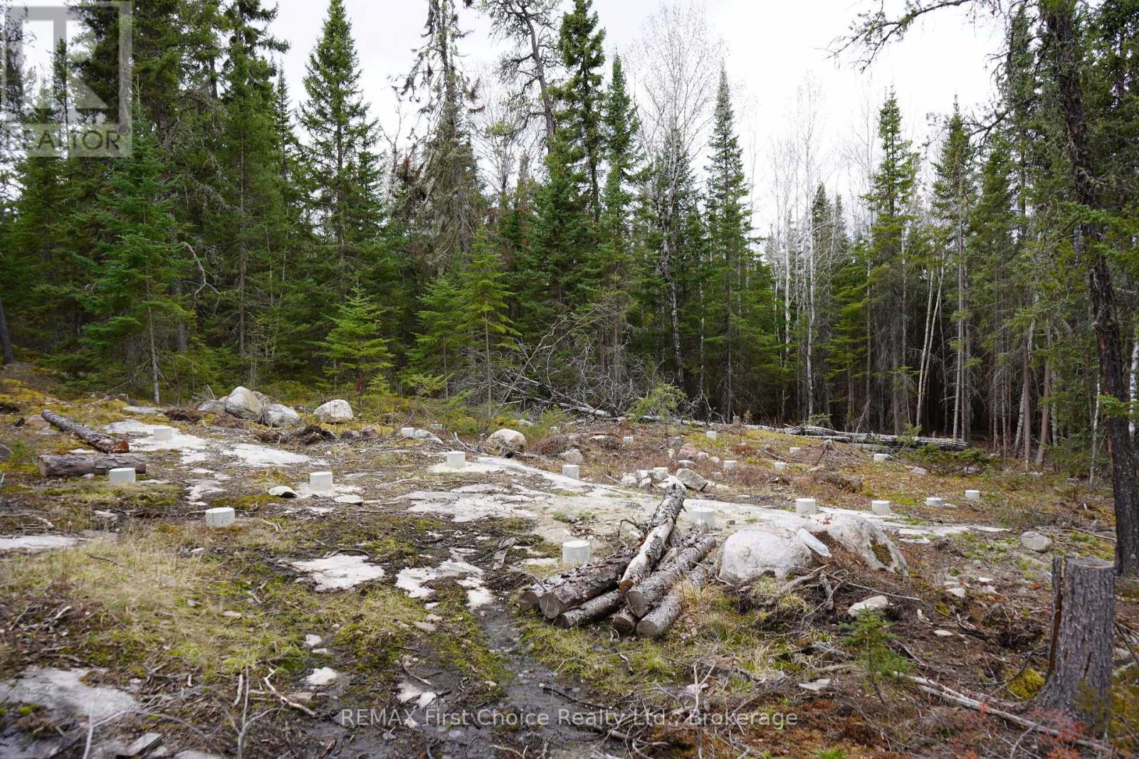 Lot 5 Gunn Lake Road, Kenora Remote Area, Ontario  P0X 1J0 - Photo 26 - X13880996