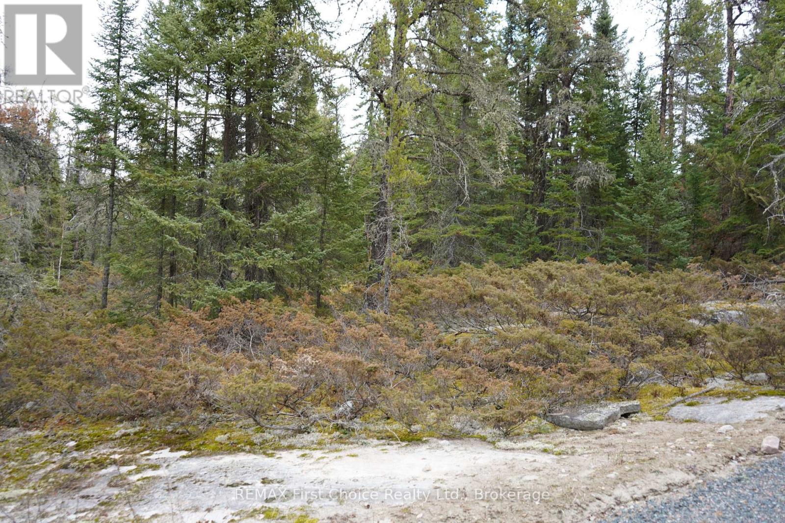 Lot 5 Gunn Lake Road, Kenora Remote Area, Ontario  P0X 1J0 - Photo 32 - X13880996
