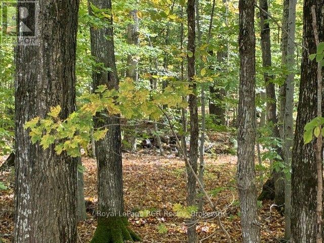 Pt Lt 26 Con 22 Centre Rd Road N, Georgian Bluffs, Ontario  N0H 2T0 - Photo 24 - X13615492