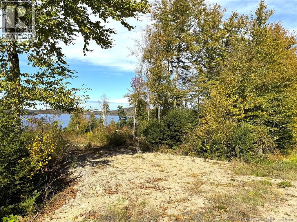 Bluff Road, Utopia, New Brunswick  E5C 0J4 - Photo 17 - NB149283