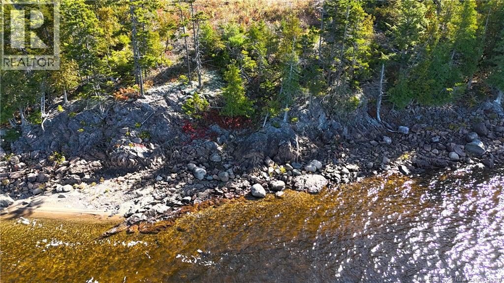 Bluff Road, Utopia, New Brunswick  E5C 0J4 - Photo 23 - NB149283