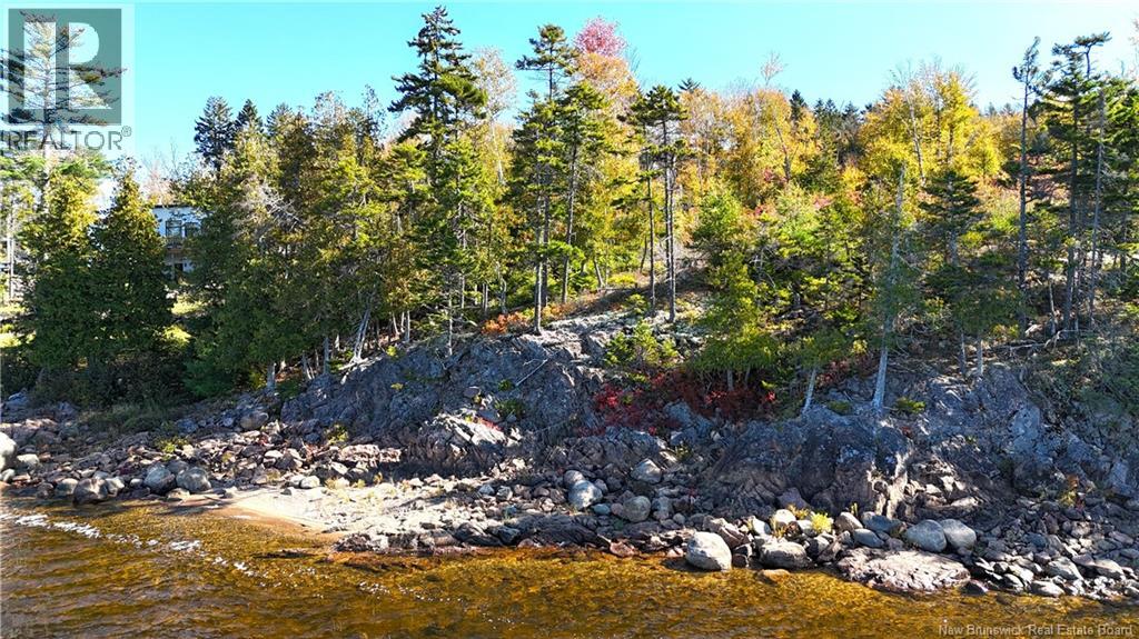 Bluff Road, Utopia, New Brunswick  E5C 0J4 - Photo 8 - NB149283
