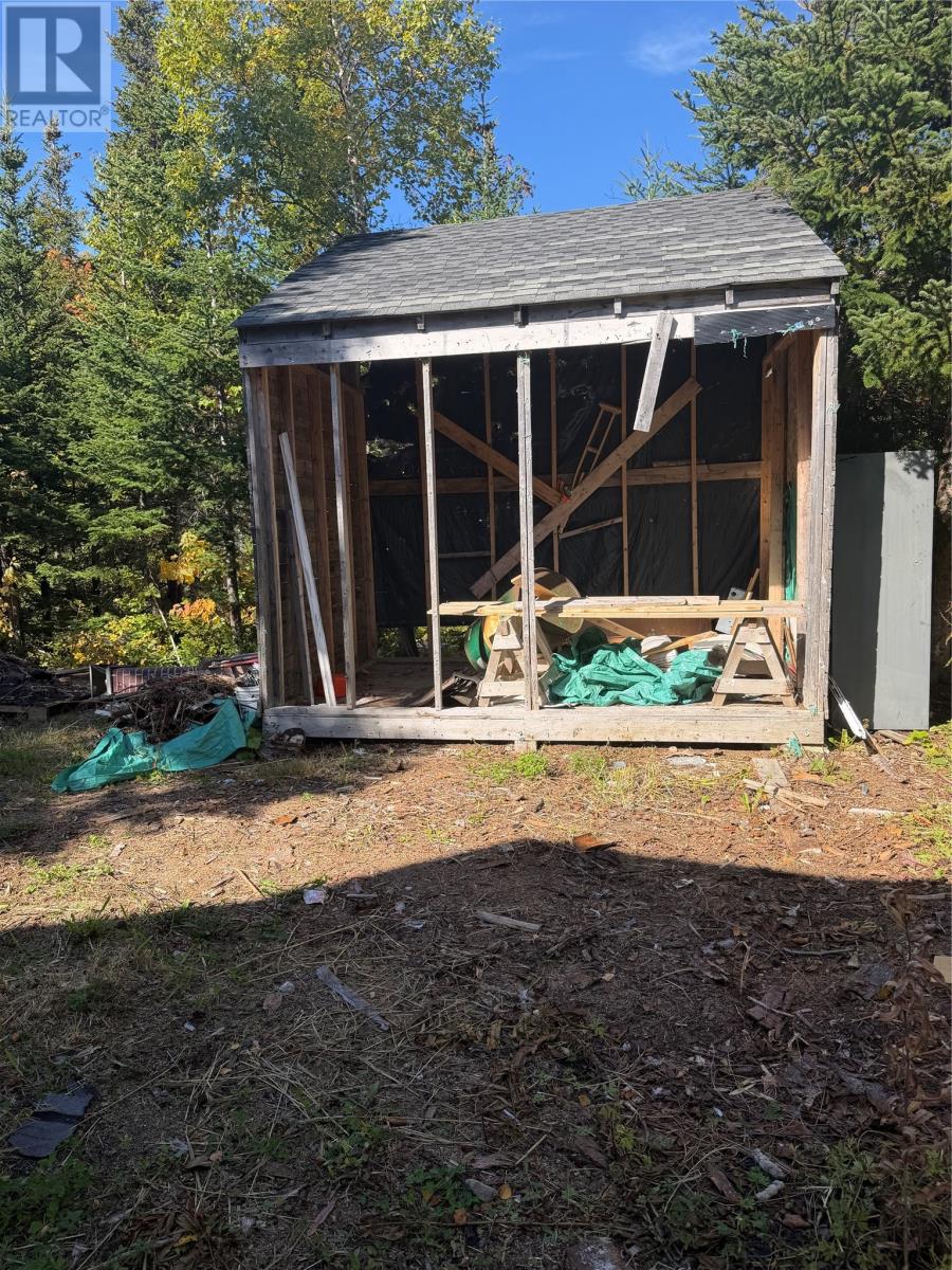 26 Pinchgut Road, Pinchgut Lake, Newfoundland & Labrador  A2H 2E0 - Photo 2 - 1304227