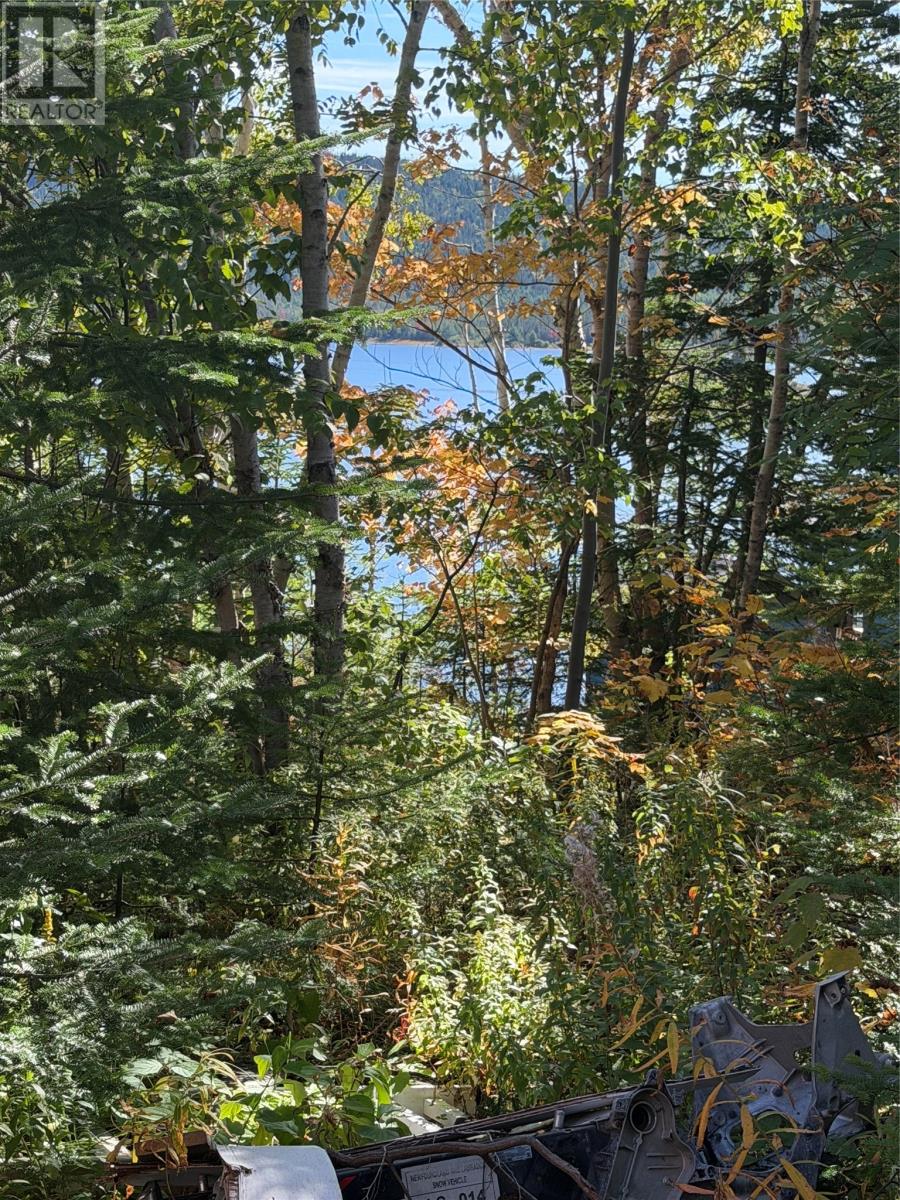 26 Pinchgut Road, Pinchgut Lake, Newfoundland & Labrador  A2H 2E0 - Photo 6 - 1304227