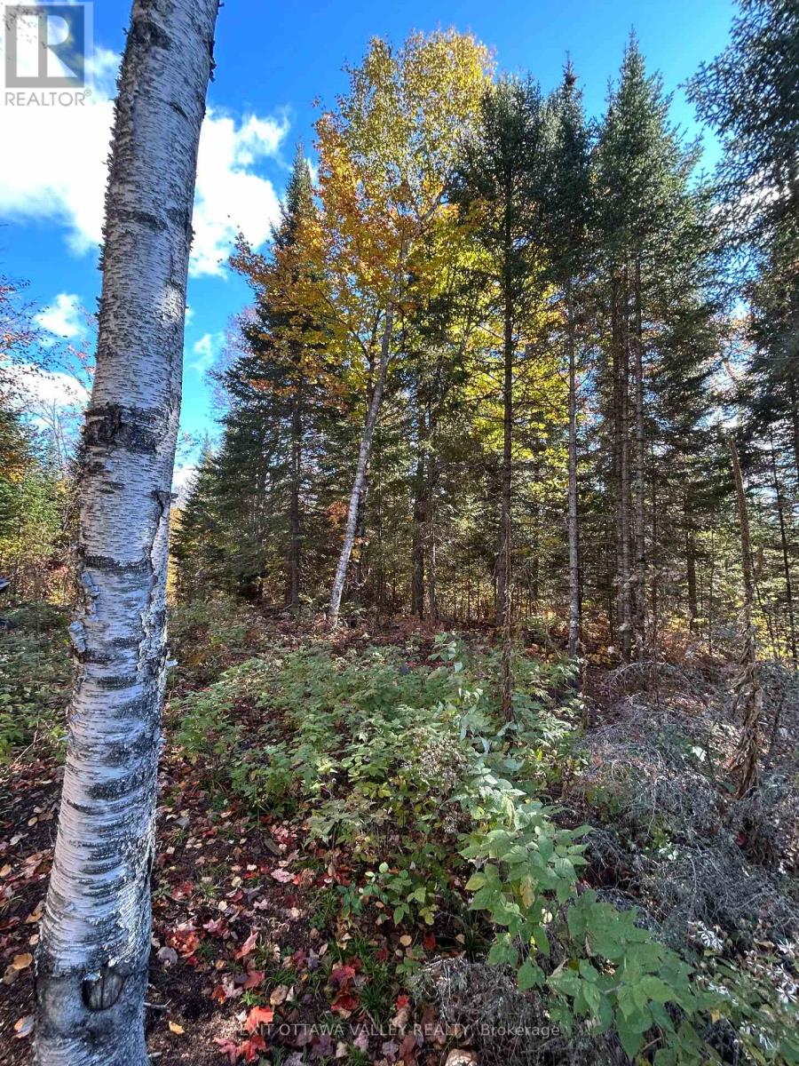 0 Rosien Road, Bonnechere Valley, Ontario K0J 1T0 - Photo 7 - X13881862