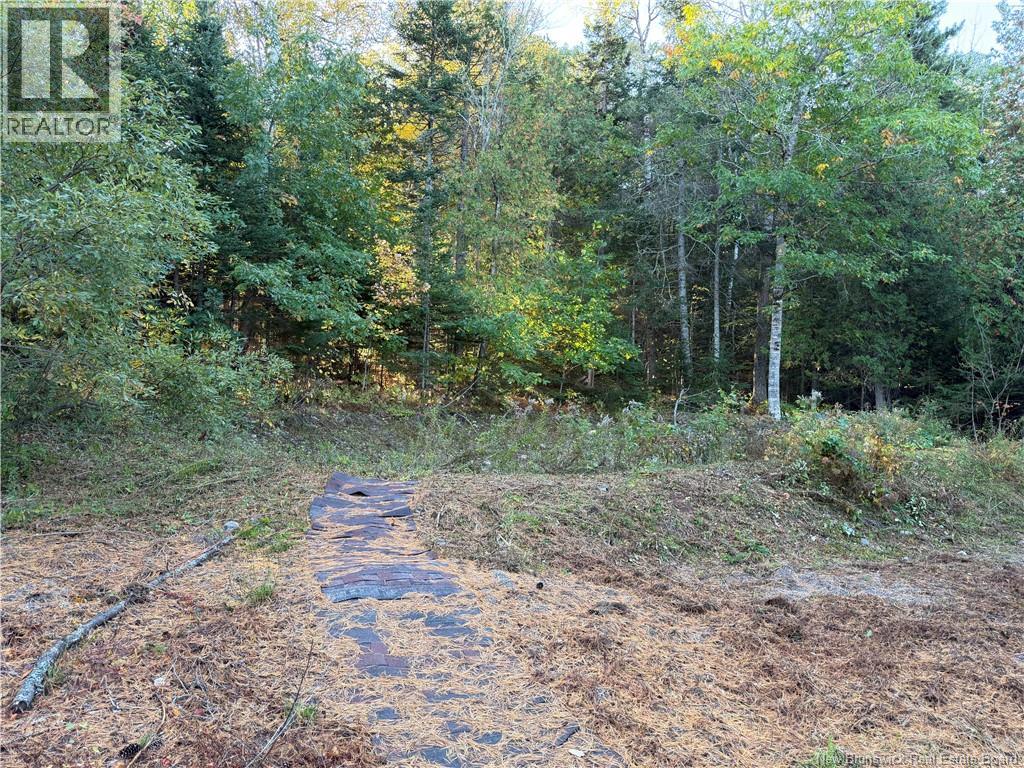 7013 Route 102, Central Greenwich, New Brunswick  E5M 2J7 - Photo 15 - NB149433