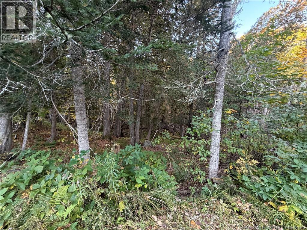 7013 Route 102, Central Greenwich, New Brunswick  E5M 2J7 - Photo 30 - NB149433