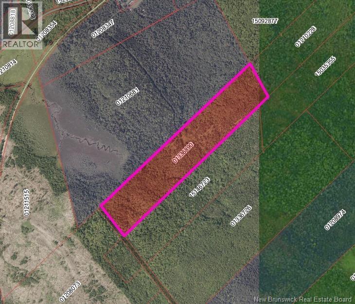 000 Meadow Lane, Dumbarton, New Brunswick  E5A 2Z8 - Photo 1 - NB149288