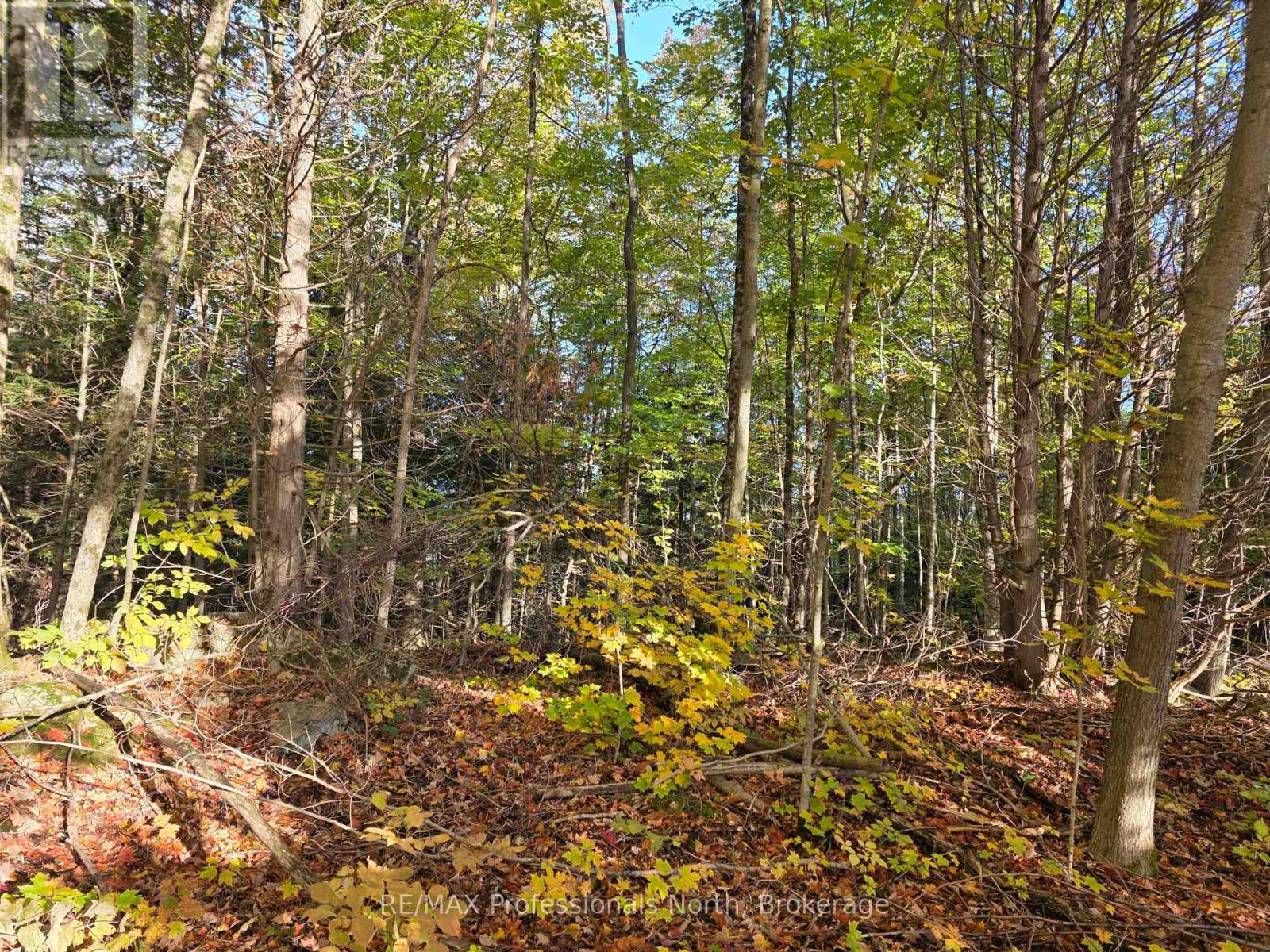 Pt Lt 13 Con 9 35 Highway, Minden Hills, Ontario  K0M 2K0 - Photo 2 - X13882176