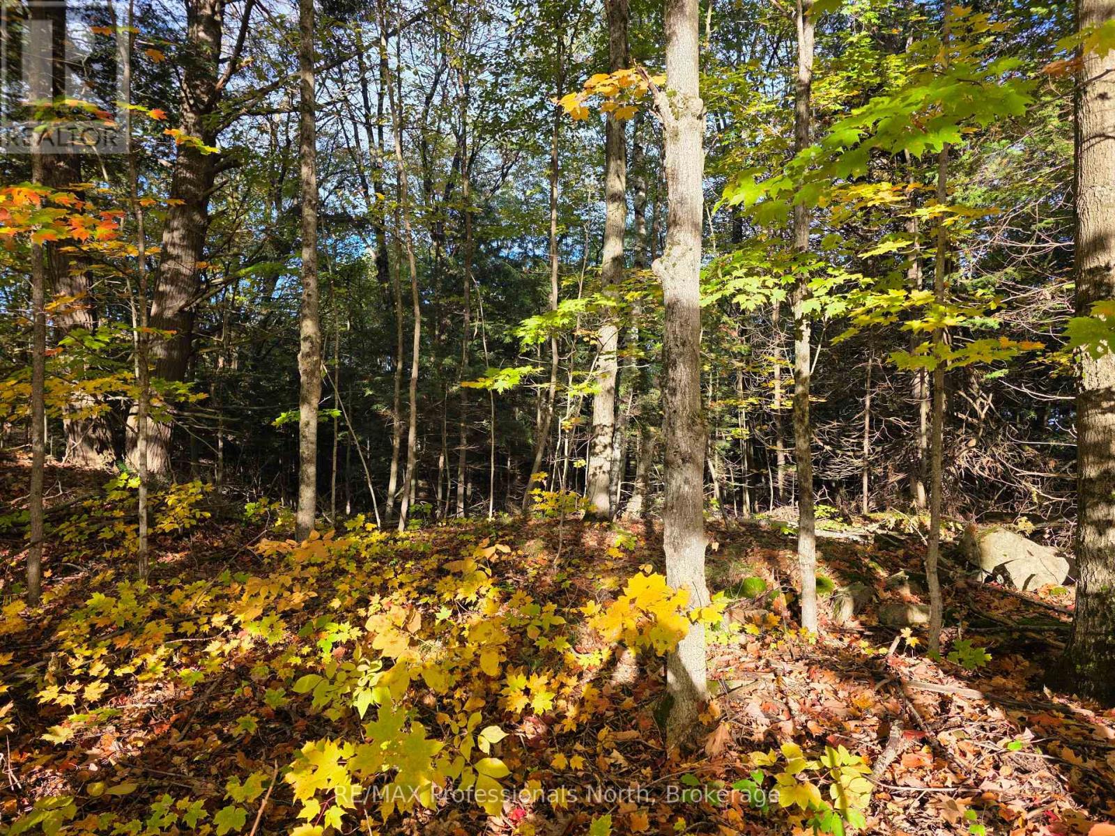 Pt Lt 13 Con 9 35 Highway, Minden Hills, Ontario  K0M 2K0 - Photo 3 - X13882176