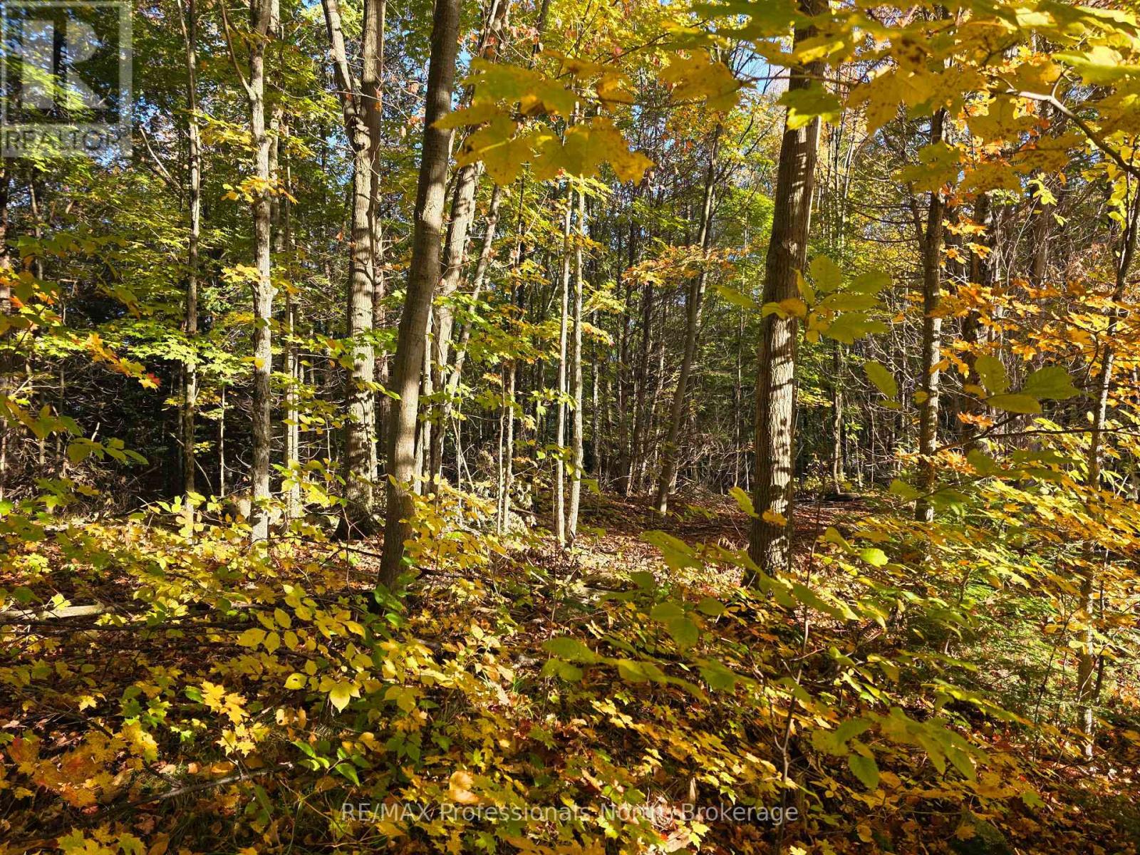 Pt Lt 13 Con 9 35 Highway, Minden Hills, Ontario  K0M 2K0 - Photo 4 - X13882176