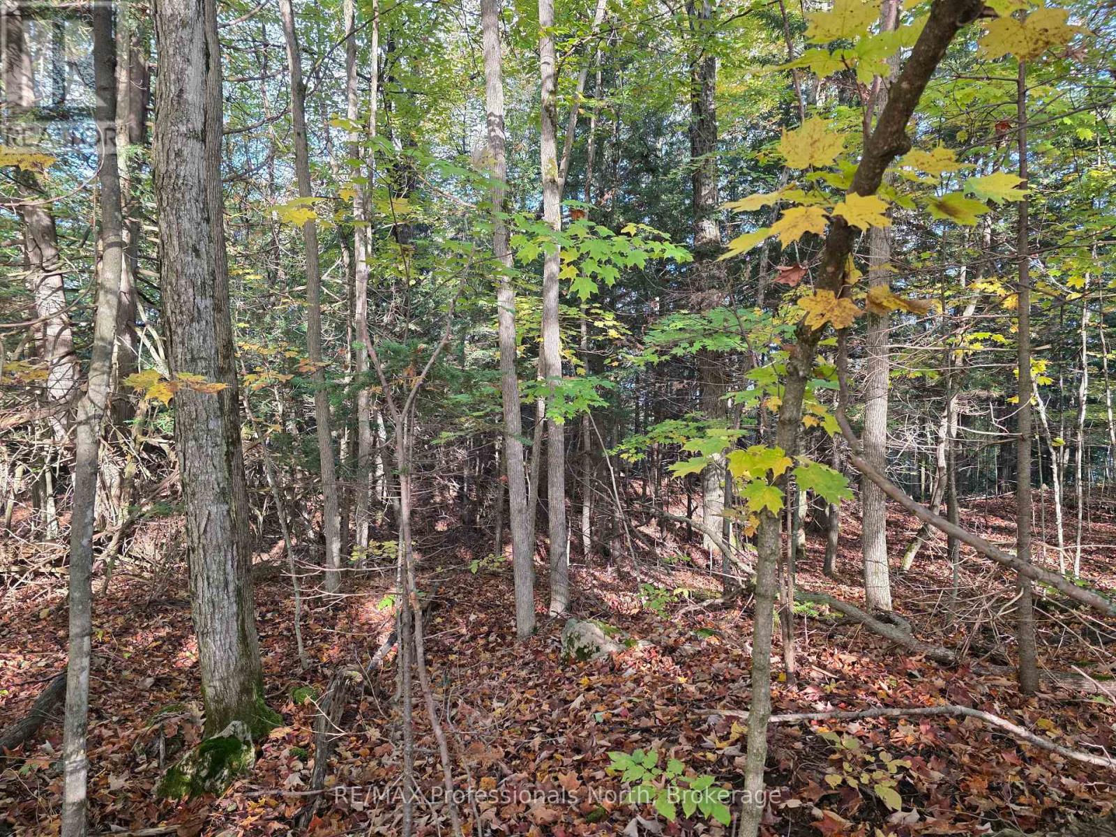 Pt Lt 13 Con 9 35 Highway, Minden Hills, Ontario  K0M 2K0 - Photo 5 - X13882176