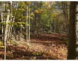 PT LT 13 CON 9 35 HIGHWAY, Minden Hills, Ontario