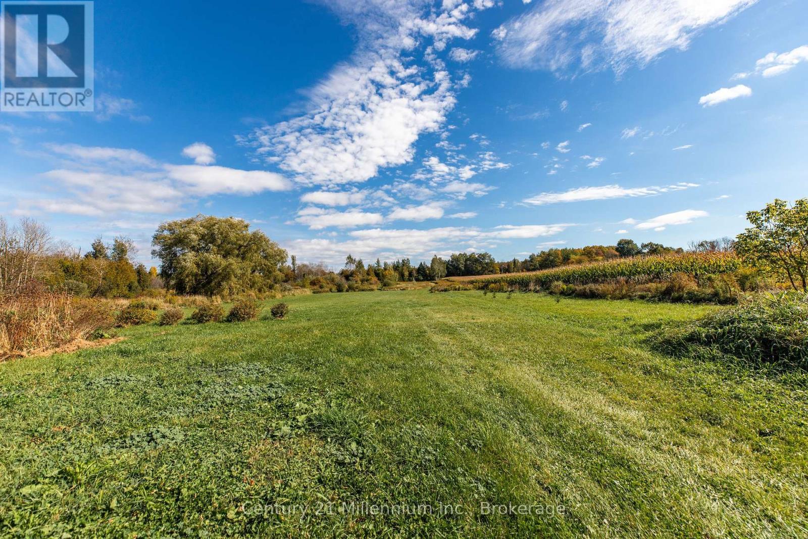 42532 Grey Road 109, West Grey, Ontario  N0G 2L0 - Photo 12 - X13882222