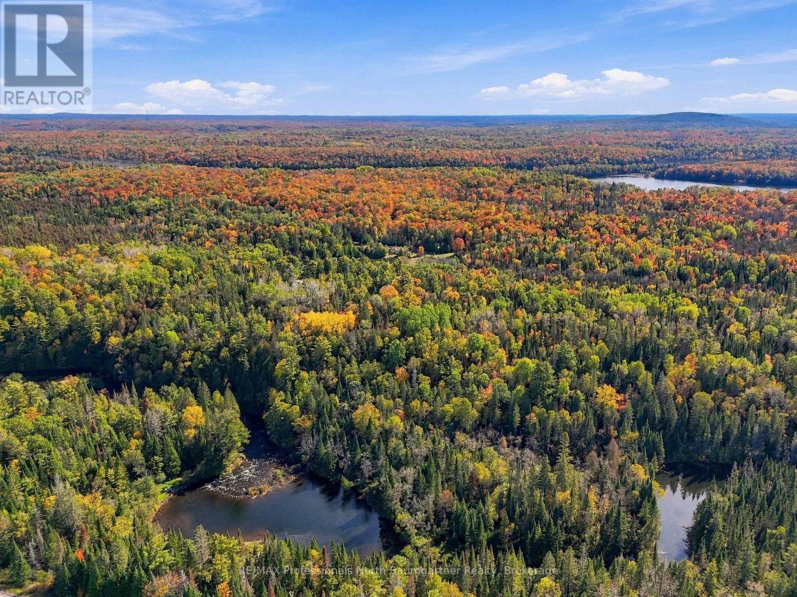 0 Contau Lake Road, Highlands East, Ontario  K0M 1R0 - Photo 17 - X13882312