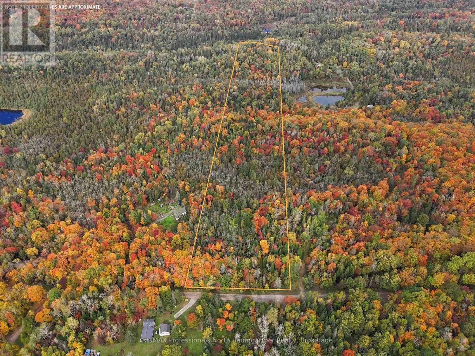 0 Contau Lake Road, Highlands East, Ontario  K0M 1R0 - Photo 2 - X13882312
