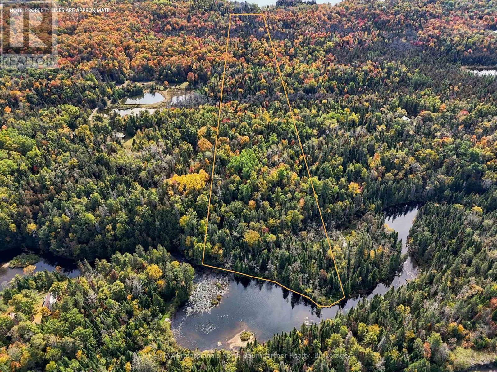 0 Contau Lake Road, Highlands East, Ontario  K0M 1R0 - Photo 5 - X13882312