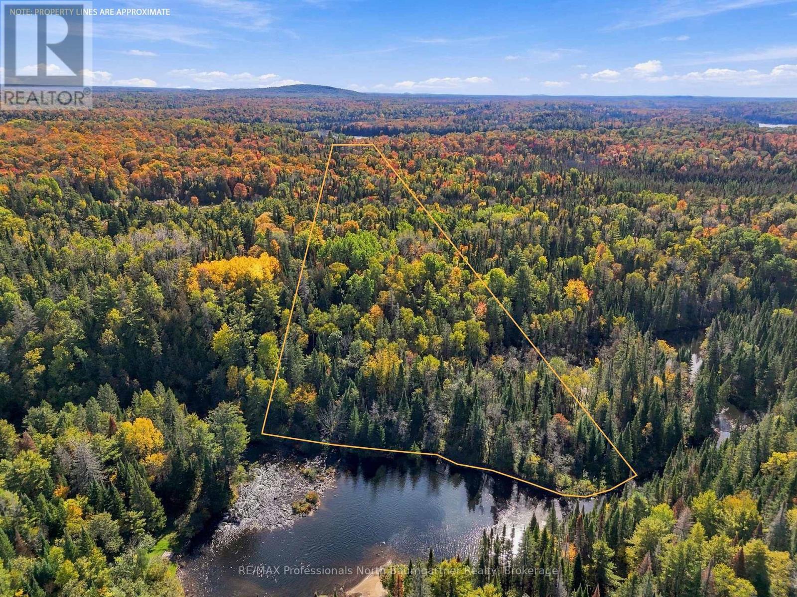 0 Contau Lake Road, Highlands East, Ontario  K0M 1R0 - Photo 8 - X13882312