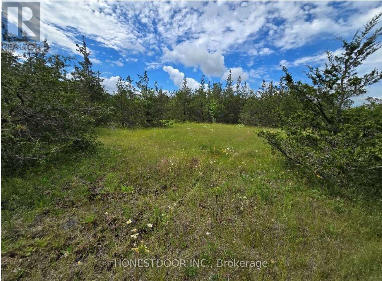359 Goodyear Road, Greater Napanee, Ontario  K7R 3L2 - Photo 3 - X13882272