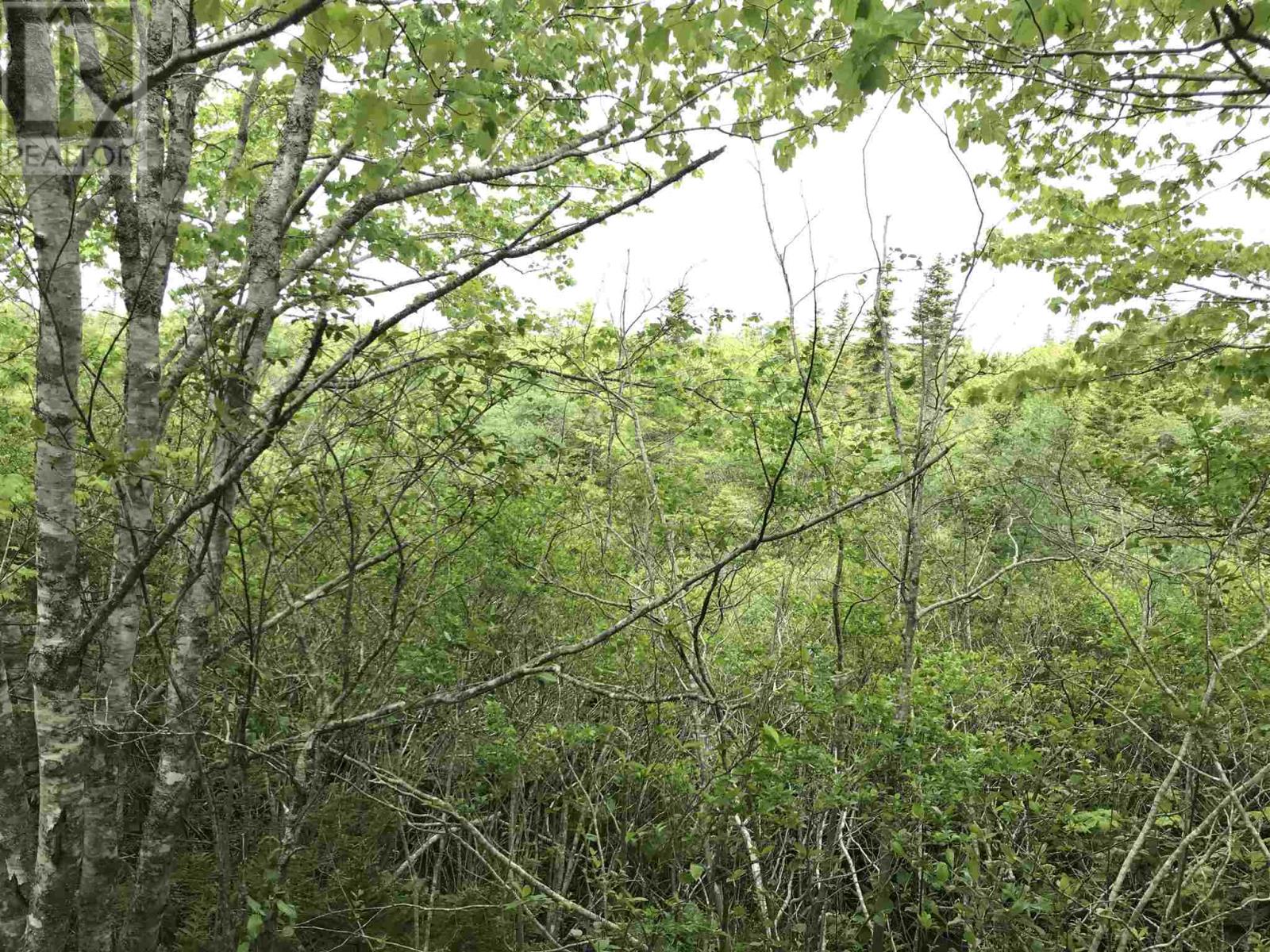 53.03 Acres Highway 308 Highway Belleville Nova Scotia Canada B0W3M0 5