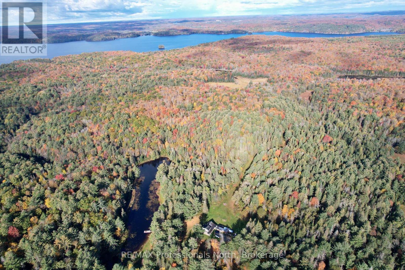 862 Lynx Lake Rd Road, Huntsville, Ontario  P1H 2J3 - Photo 28 - X13882712
