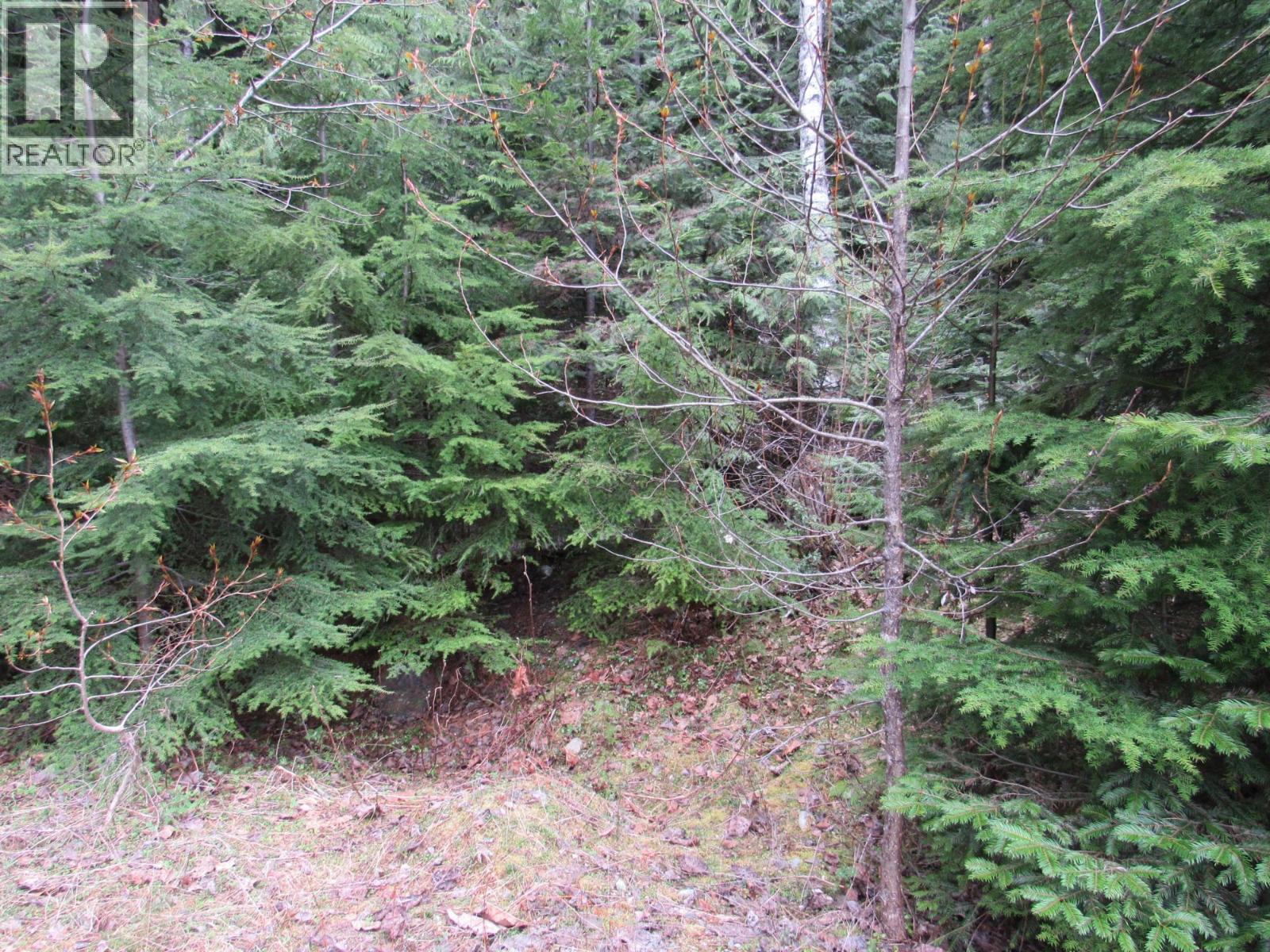 Lot B 3 Highway, Salmo, British Columbia V0G 1Z0 - Photo 6 - 10359742