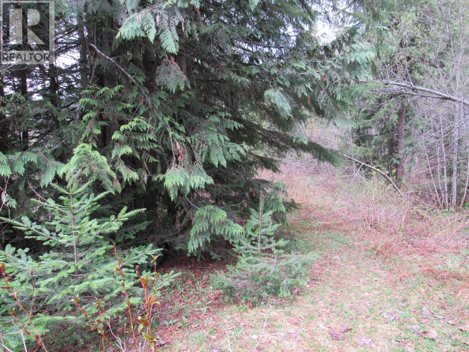 Lot B 3 Highway, Salmo, British Columbia V0G 1Z0 - Photo 9 - 10359742