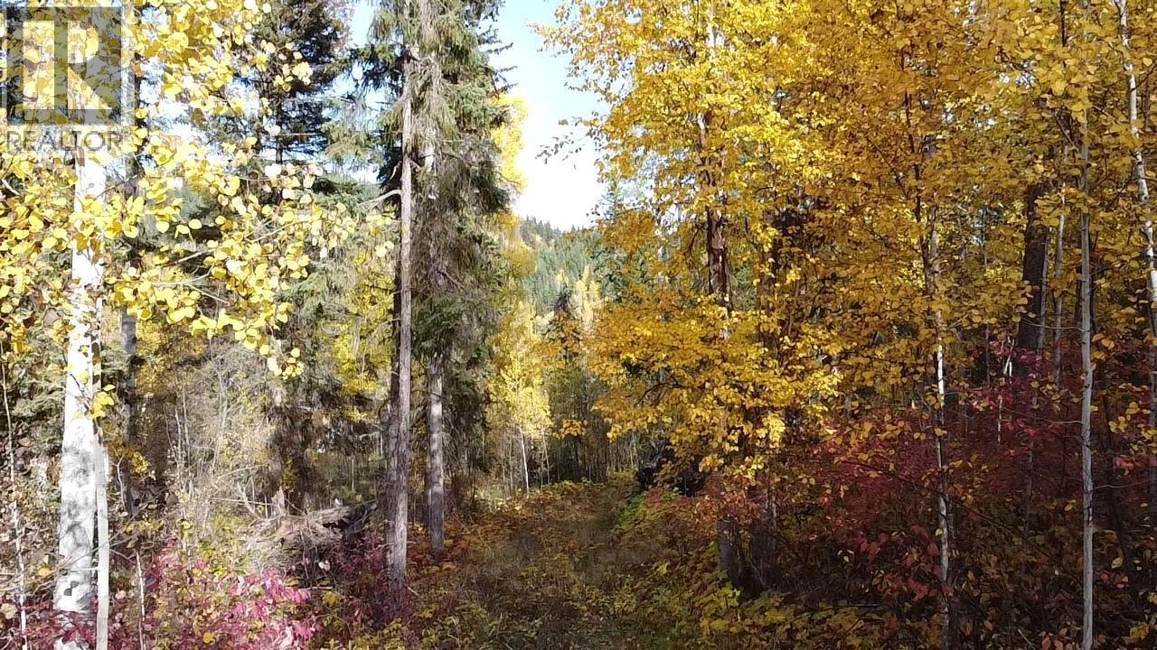 Lot 1 Cottonwood Place, Canim Lake, British Columbia  V0K 1L0 - Photo 10 - R3174151