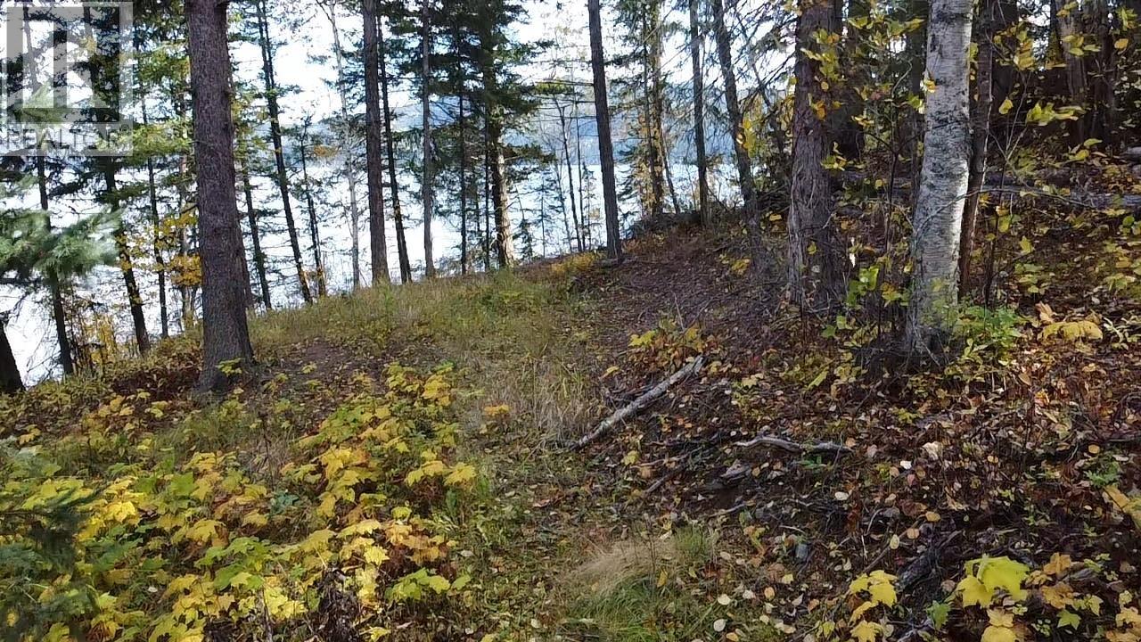 Lot 1 Cottonwood Place, Canim Lake, British Columbia  V0K 1L0 - Photo 11 - R3174151